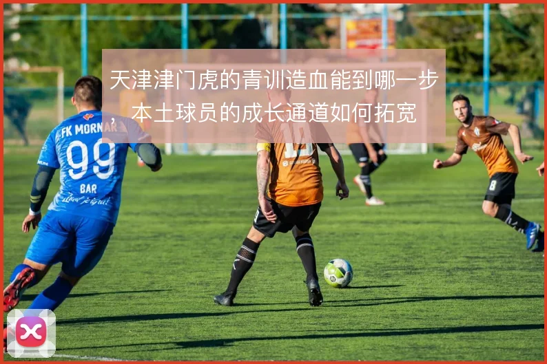 天津津门虎的青训造血能到哪一步，本土球员的成长通道如何拓宽