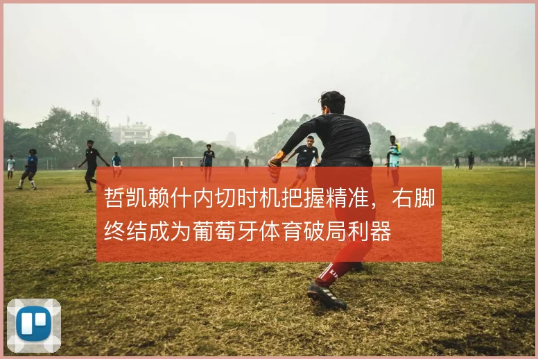 哲凯赖什内切时机把握精准，右脚终结成为葡萄牙体育破局利器