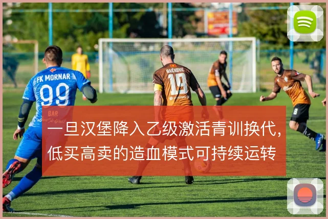 一旦汉堡降入乙级激活青训换代，低买高卖的造血模式可持续运转