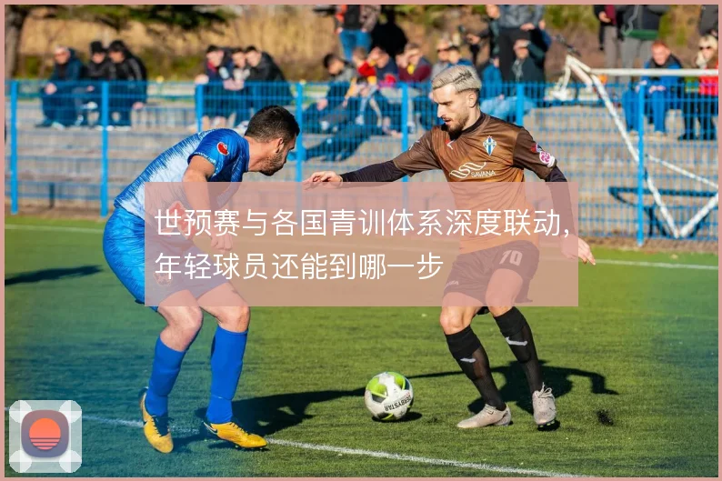 世预赛与各国青训体系深度联动，年轻球员还能到哪一步